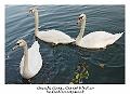 Bords_de_Marne