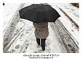 Neige_du_19_12_2010