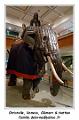 Royal_Armouries_museum