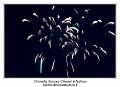 IMG_9591_RD