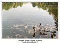 IMG_0030_RD