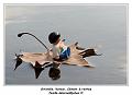 IMG_0033_RD