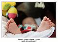 IMG_0041_RD