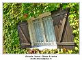 P1040355_RD