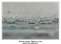 IMG_0232_RD