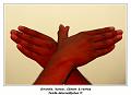 IMG_0298_RD