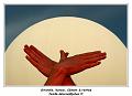 IMG_0301_RD