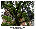 DSC00870