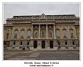 DSC00981