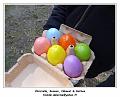 DSC00113