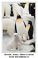 IMG_1681_RD