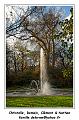 IMG_1621_RD