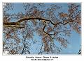 IMG_1623_RD