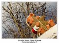 IMG_1626_RD