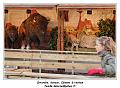 IMG_1630_RD
