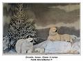 IMG_1633_RD