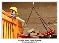 IMG_0701_RD