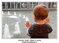 IMG_0708_RD