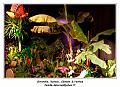 IMG_0769_RD