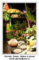 IMG_0770_RD