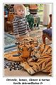 IMG_0872_RD