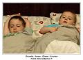 IMG_0998_RD
