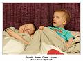 IMG_0999_RD