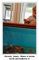 IMG_1164_RD