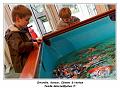IMG_1166_RD