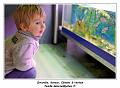 IMG_1170_RD