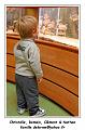 IMG_1174_RD