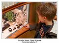 IMG_1179_RD