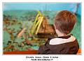 IMG_1186_RD