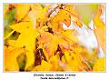 IMG_1198_RD