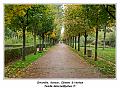 IMG_1201_RD