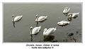 IMG_1217_RD