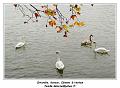IMG_1229_RD