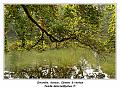 IMG_1308_RD