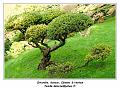 IMG_1311_RD