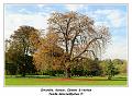 IMG_1324_RD