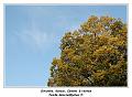 IMG_1342_RD