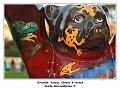IMG_1386_RD