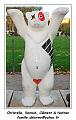 IMG_1387_RD