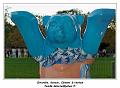 IMG_1408_RD