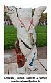 IMG_1416_RD