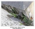 DSC00035