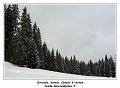 DSC02532_RD
