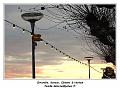 DSC02417_RD