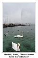 DSC02437_RD