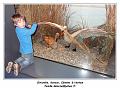 DSC02459_RD